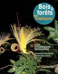 Bois et forêts des tropiques No. 307