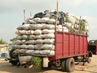 Transport de charbon de bois en périphérie de Kinshasa (photo JN Marien)