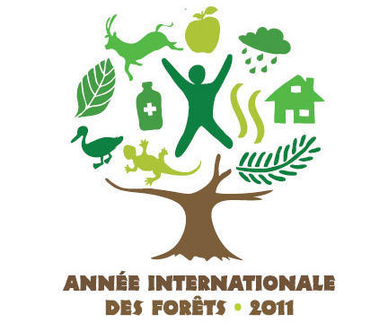 International Year of Forests 2011 © Onu