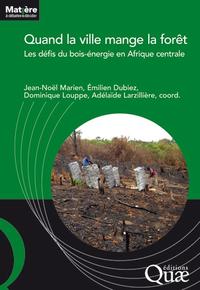 The challenges of wood energy in Central Africa