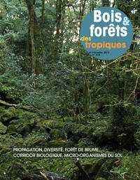 Parution de Bois et forêts des tropiques : n° 318