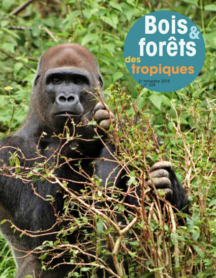 Parution de Bois et forêts des tropiques : n°324
