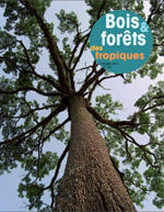 Parution de Bois et forêts des tropiques : n°325
