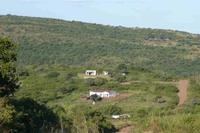Paysage polyvalent du KwaZulu-Natal, Afrique du Sud, montrant habitations, champs, pâturages, espaces boisés et espaces naturels - Cliché E. Torquebiau.