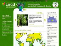 Un nouveau site sur les forêts tropicales © Cirad