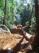 Débardage en forêt guyannaise © ONF? S. Guitet