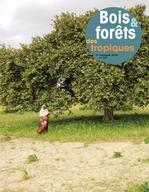 Bois et Forêts des Tropiques : n°337