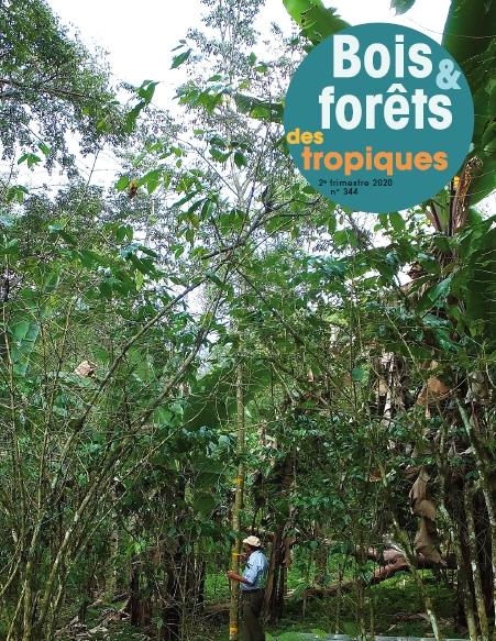Bois et Forêts des Tropiques : n°344