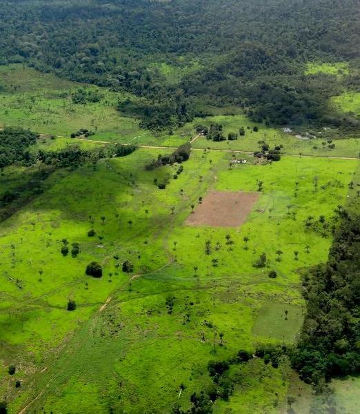 Bonn Challenge - Le Cirad s’engage pour la restauration des paysages forestiers