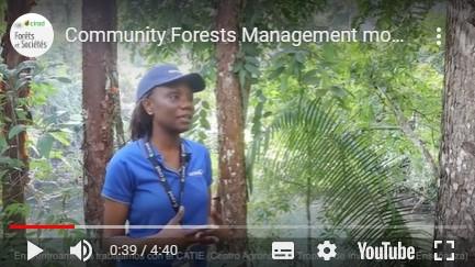 Forêts communautaires à Petén Guatemala : mise à l'échelle et partage des connaissances