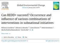 Can REDD+ succeed? Occurrence and influence of various combinations of interventions in subnational initiatives