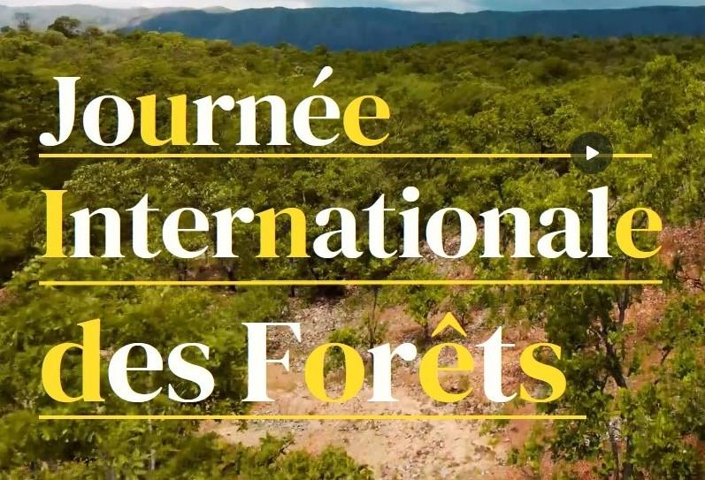 UR Forêts et Sociétés celebrates International Forest Day