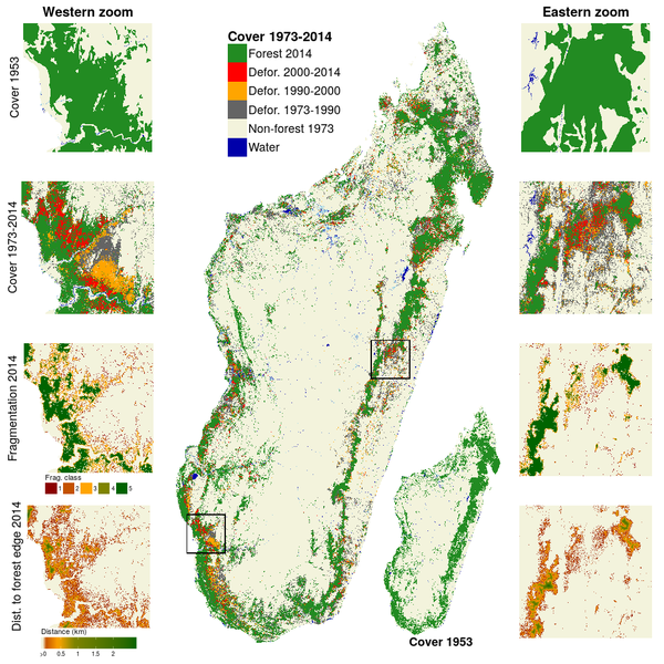 La déforestation s'accélère à Madagascar