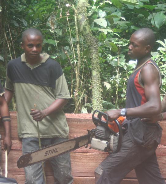 Lancement du projet Profeaac : PROmouvoir et Formaliser l’Exploitation Artisanale du bois d’œuvre en Afrique Centrale 