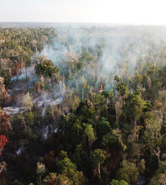 Tirer parti de la télédétection multisource pour mieux cartographier la biomasse d'une forêt dégradée