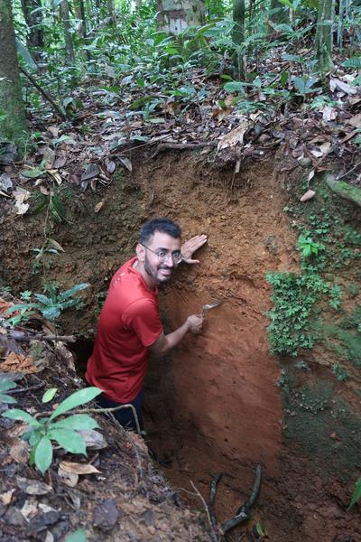 Overview of a forest soil by S. Khan (post-doc), for a prediction model of Guyanese soils and their water reserves. © V. Freycon