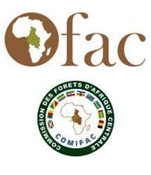 Projet d’appui à l’OFAC (Observatoire des Forêts d’Afrique Centrale)