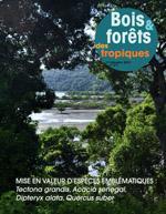 Bois et Forêts des Tropiques: Contents of n° 311