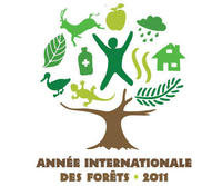 Année internationale des forêts 2011 © Onu