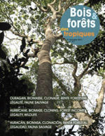 Publishing of "Bois et forêts des tropiques" : n° 317