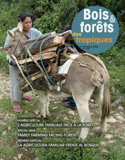 Publishing of "Bois et forêts des tropiques": n° 319