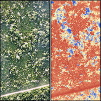 Assurer le suivi de la dégradation forestière par drone en recourant à un indicateur de texture du peuplement