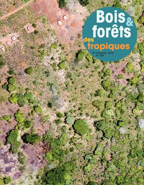 Bois et Forêts des Tropiques : n°330