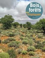 Bois et Forêts des Tropiques : n°338