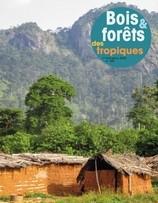 Bois et Forêts des Tropiques : n°343