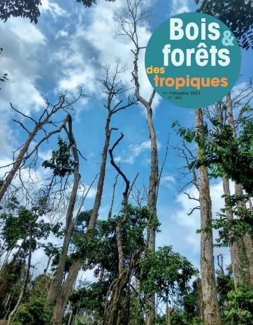 Bois et Forêts des Tropiques : n° 347