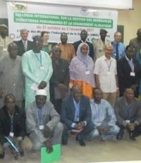 Colloque « Gestion des ressources forestières des territoires péri-urbains et changement climatique » (Niamey, 31 oct - 2 nov 2017)
