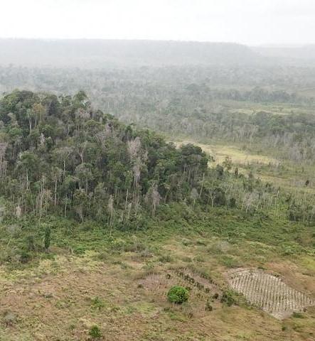 Comprendre la dégradation des forêts en s’intéressant au paysage