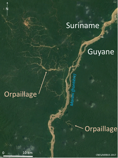 Dans le bouclier de la Guyane, la déforestation suit le cours de l'or... mais aussi le niveau de répression exercé en Guyane française