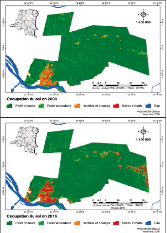 Dynamique de la déforestation dans la Réserve de biosphère de Yangambi (RDC)