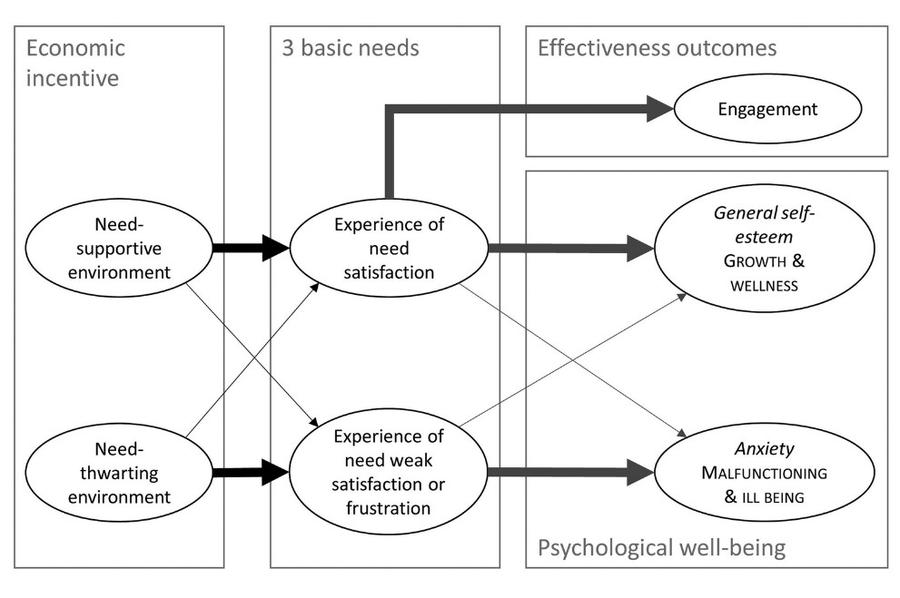  Basic psychological need satisfaction or frustration in light of the environment created by economic incentives and consequences for well-being and effectiveness outcomes. Authors, adapted from Deci et al. (Citation2001) and Vansteenkiste and Ryan (Citation 2013).