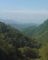 Forêts secondaires en Chine