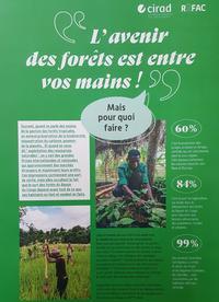  Inauguration de l’exposition « L’Avenir des forêts est entre vos mains ! » à l’Institut français de Yaoundé dans le cadre de l’agenda « COP Chez Nous 2021 »