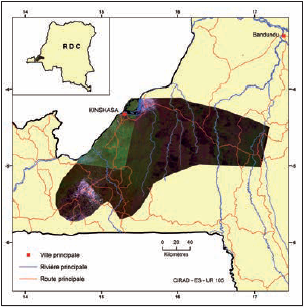 L'approvisionnement en bois-énergie du bassin de Kinshasa