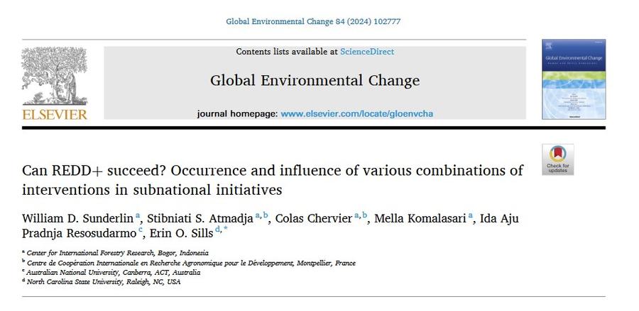Can REDD+ succeed? Occurrence and influence of various combinations of interventions in sub-national initiatives