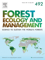 Le changement climatique modifie la capacité des forêts tropicales à fournir du bois et à piéger le carbone