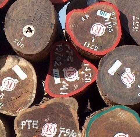 Le concept de durabilité de l’exploitation de bois d’œuvre demande une redéfinition