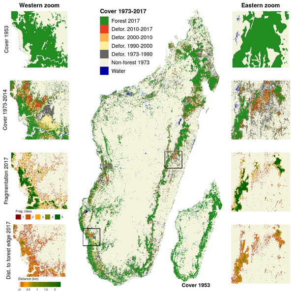 Changement de la couverture des forêts naturelles à Madagascar de 1953 à 2017. Les changements de 1973 à 2017 sont représentés sur la figure centrale alors que la couverture forestière en 1953 est représentée dans l'encart en bas à droite. Des agrandissements dans l'écorégion sèche de l'Ouest (partie de gauche) et dans l'écorégion humide de l'Est (partie de droite) présentent plus en détails (de haut en bas): la couverture forestière en 1953, les changements de couverture forestière de 1973 à 2017, la fragmentation de la forêt en 2017 et la distance à la lisière de la forêt en 2017. Les rivières et plans d'eau sont représentés en bleu.