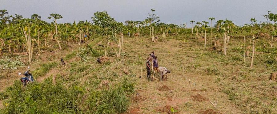 Soil underpins the proper functioning of ecosystems: lessons from Côte d'Ivoire