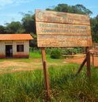 Les concessions forestières communautaires sont-elles un modèle profitable en RDC ?