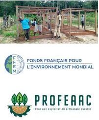 PROmouvoir et Formaliser l’Exploitation Artisanale du bois d’œuvre en Afrique Centrale : le projet Profeaac présente ses acquis et tient son Comité de Pilotage en visio-conférence à Yaoundé et Kinshasa, le 30/11/2021