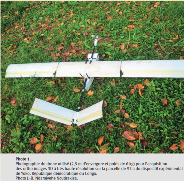 Quantifier les dimensions des houppiers à l'aide d'images aériennes à haute résolution