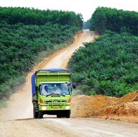 Quelles options pour lutter contre la déforestation importée en Europe ? 
