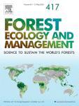 Quels sont les effets à long terme de l'exploitation forestière sur les principaux stocks de carbone forestier ?