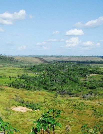 Restauration des paysages forestiers : ForLand aide à la décision en Amazonie