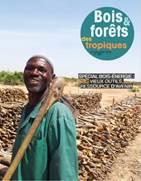 Un numéro spécial de BFT consacré au bois de feu en Afrique